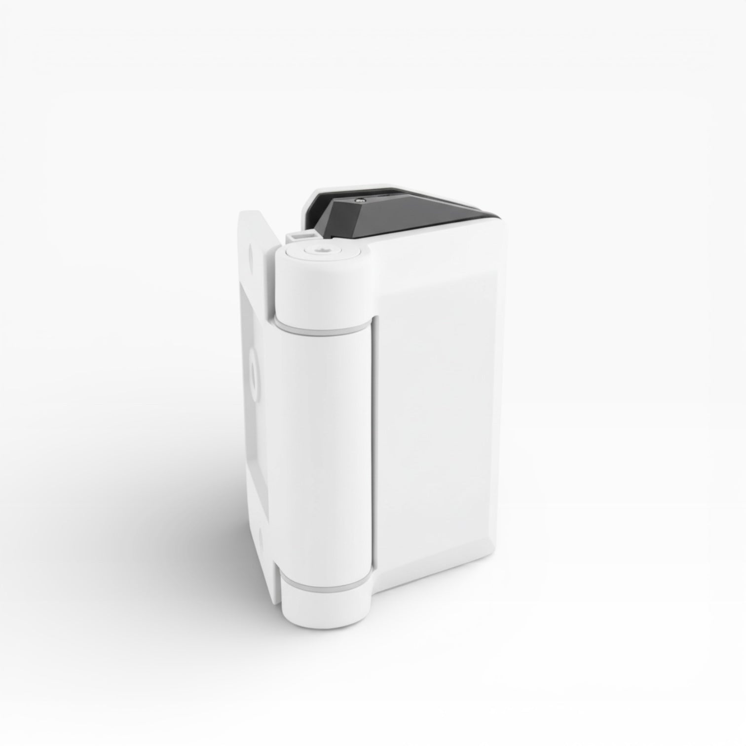 Orion Glass-to-Wall/Post Hinges (Pair)